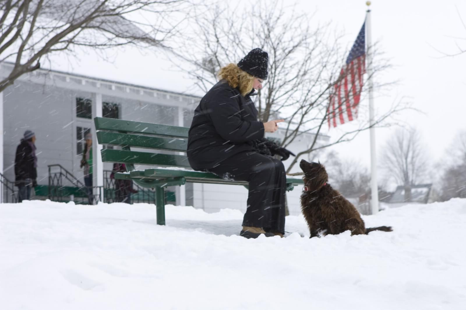 一个女人和她的黑狗在雪地里坐在公园的长椅上